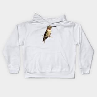 Hummingbird Attention Span Kids Hoodie